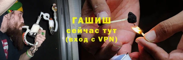 сатива Аркадак