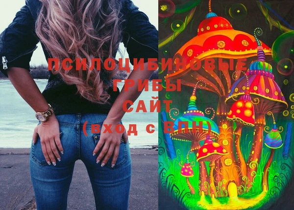 сатива Аркадак