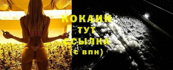 сатива Аркадак